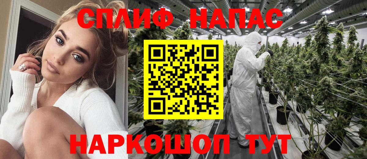 МАРИХУАНА сатива Алушта